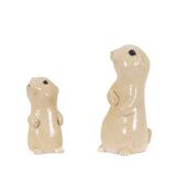 Valerie Courtet. Prairie dog. Contemporary work.