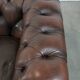 Dark brown cow leather vintage 2-seater Chesterfield sofa in English style