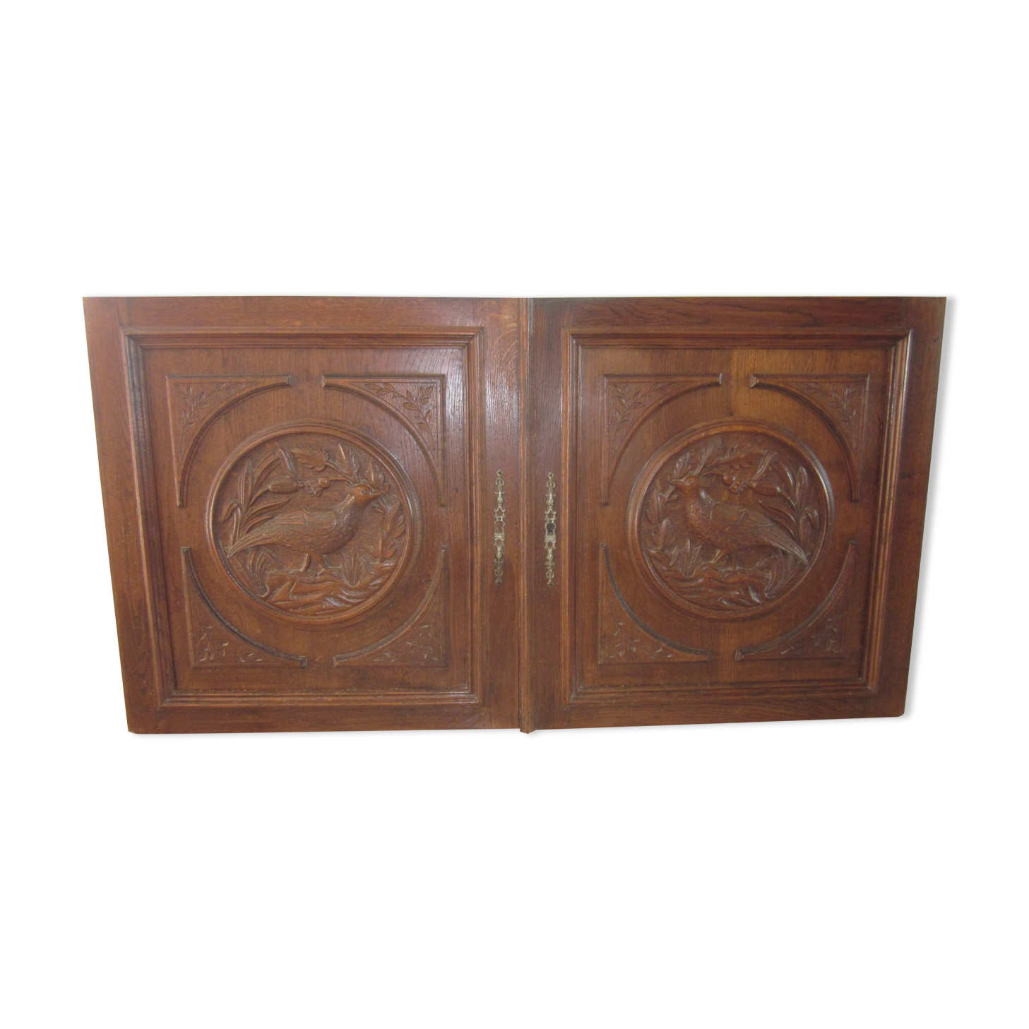 Pair of old carved wooden door