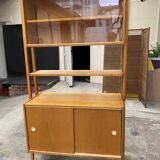 Scandinavian library