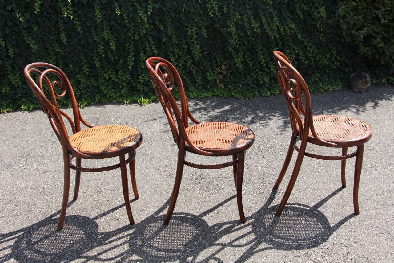 Série de x8 chaises bistrot style Thonet