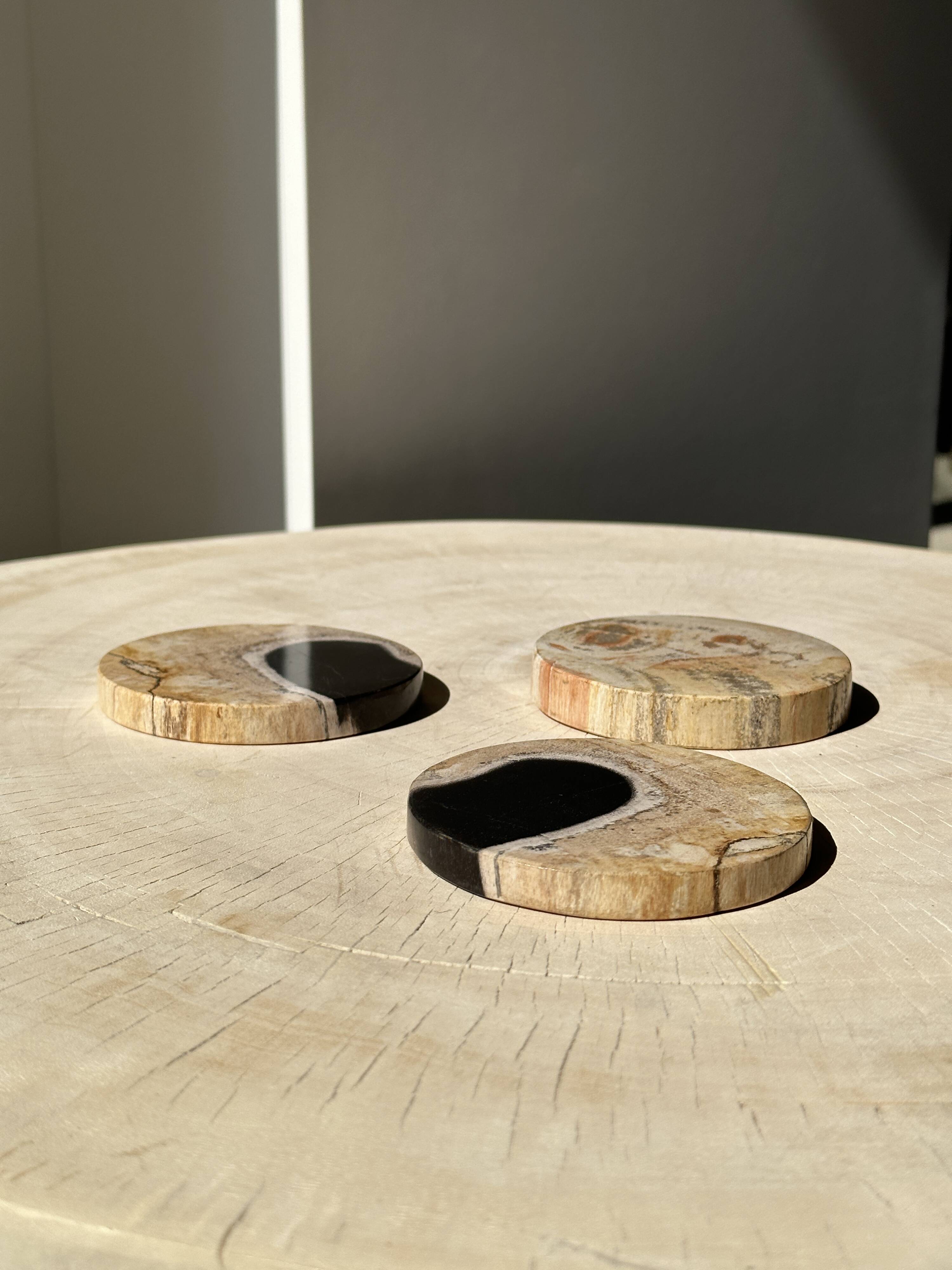 Set of 3 fossilized wood coasters (clear)