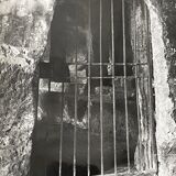 Black and white silver photography early twentieth century