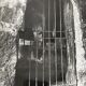 Black and white silver photography early twentieth century