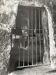 Black and white silver photography early twentieth century