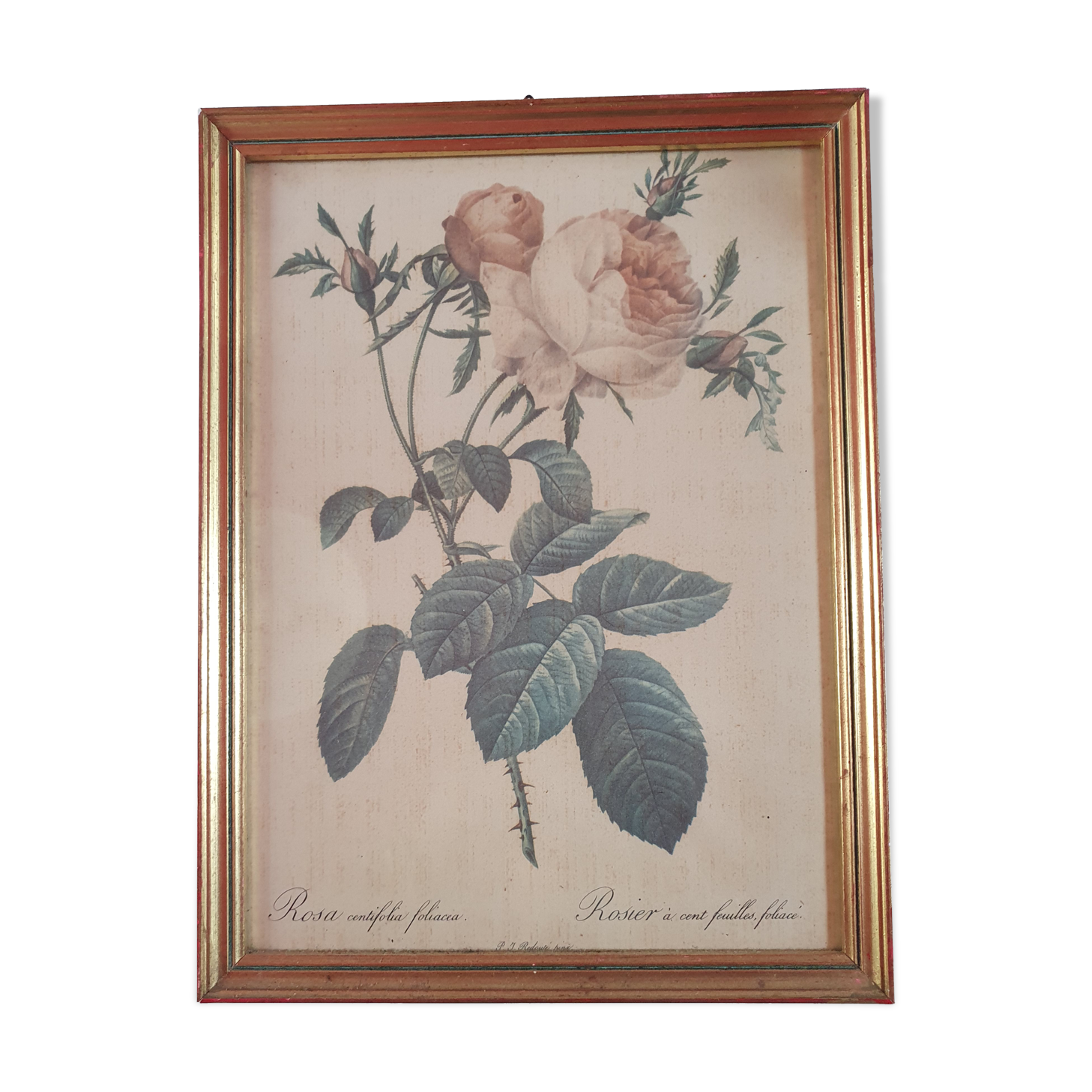 Canvas frame old painting vintage pink flowers, golden frame 25cm by 33cm