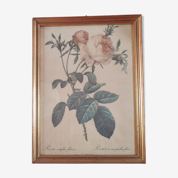 Cadre toile peinture ancien vintage fleurs rose, cadre doré  25cm sur 33cm