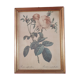 Canvas frame old painting vintage pink flowers, golden frame 25cm by 33cm