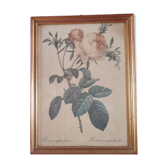 Cadre toile peinture ancien vintage fleurs rose, cadre doré  25cm sur 33cm