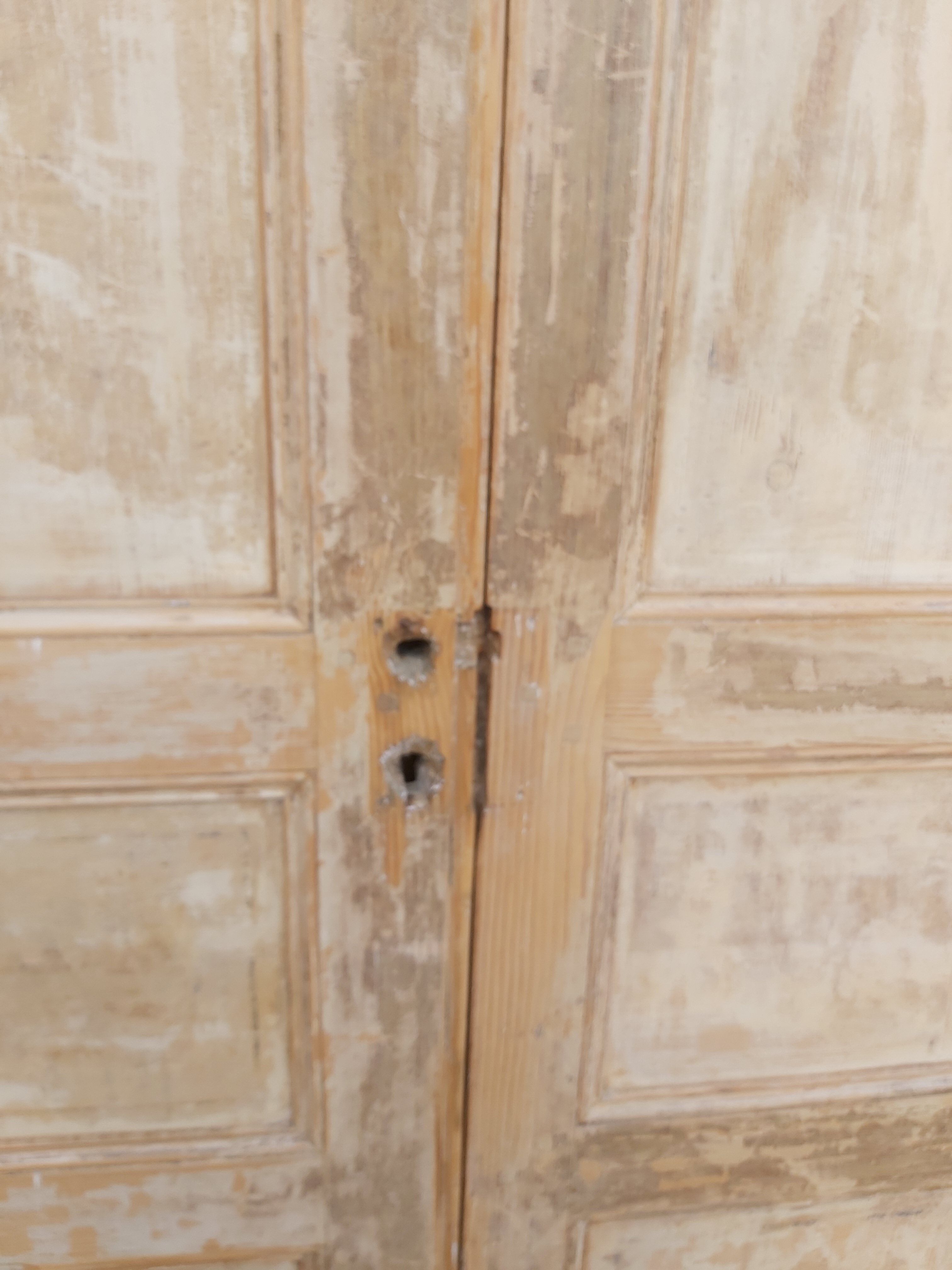 Pair of 18th century doors