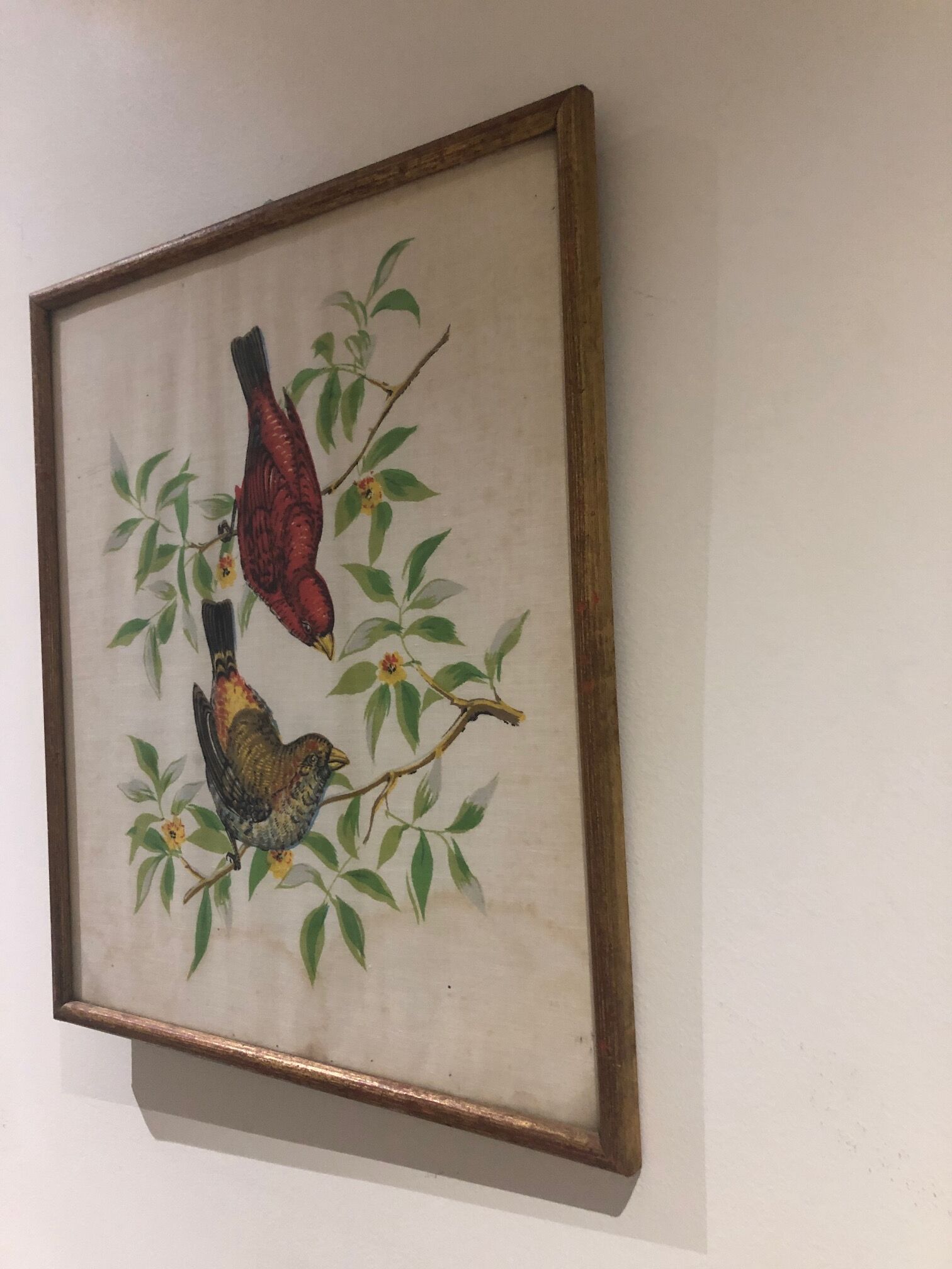 Painting printing birds