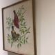Painting printing birds