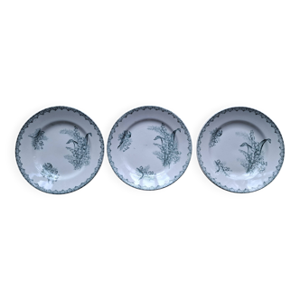 Set of 3 Muguet Amandinoise plates