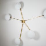 Lustre Starfish Stella Collection