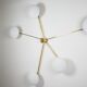 Lamp Starfish Stella Collection