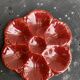 4 oyster plates in vintage red glazed ceramic slip and collector