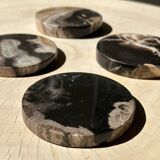 Set of 4 fossilized wooden coasters