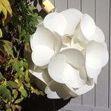 Suspension Raoul Raba