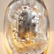 Glass, brass and aluminum wall light No.10
