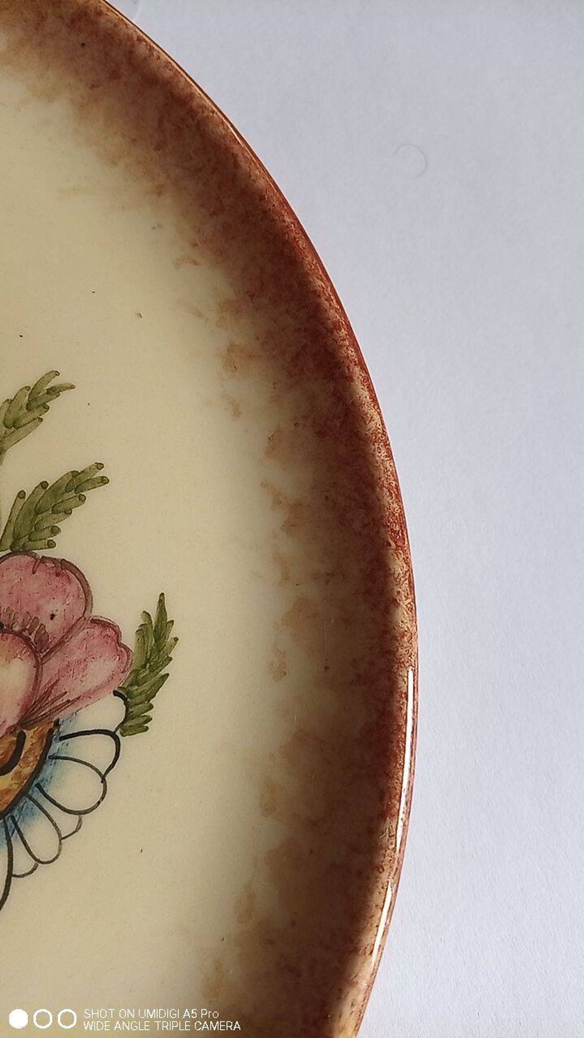 Biot ceramic - plate signed l'aiguiere - L. Gruson - hand painted - 25cm