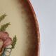 Biot ceramic - plate signed l'aiguiere - L. Gruson - hand painted - 25cm