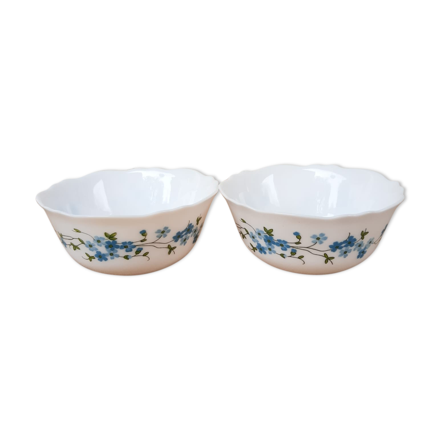 Duo of arcopal cups myosotis Veronica vintage patterns
