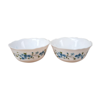 Duo de coupelles arcopal motifs myosotis Veronica vintage