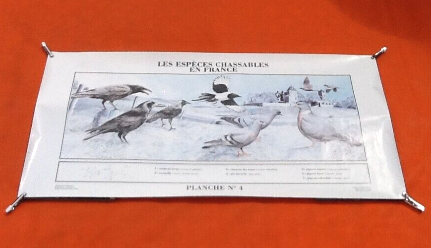 Poster by Michel Michel Cambrony