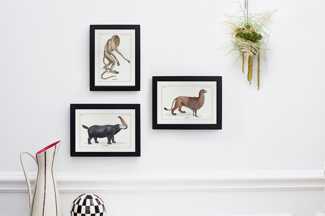 Set of 2 framed chimera lithography animal engraving