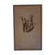 19th herbarium plank