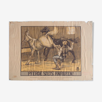 Displays "first aid with horses" Johannes Rudolfi 1929