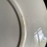 Dessert plates Sarreguemines model Stella