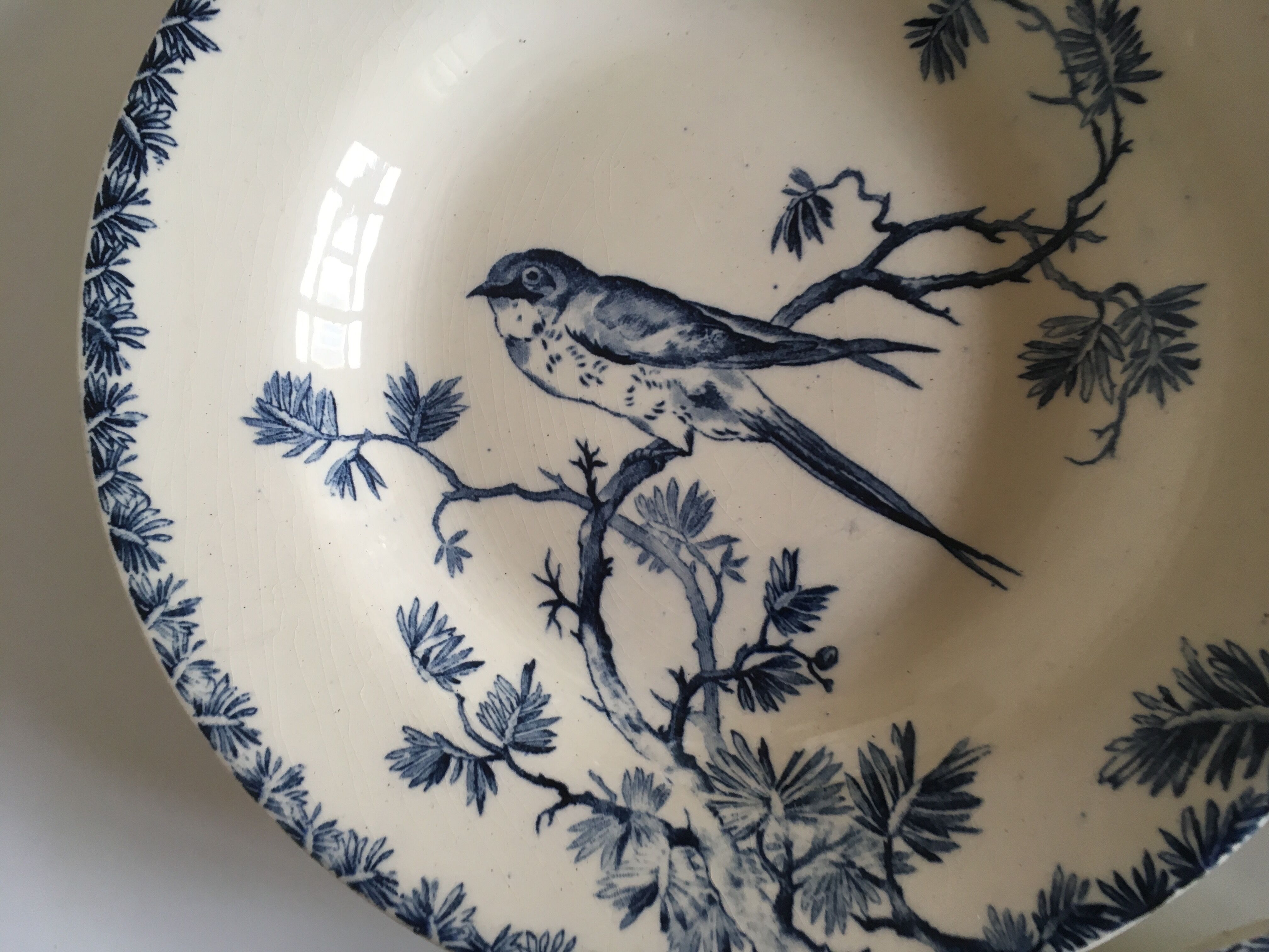 Gien's hollow earthenware plates 19th Provençal bird décor