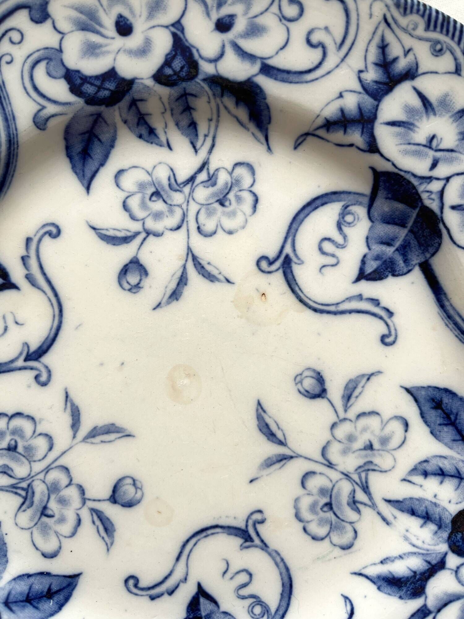 6 dessert plates in iron earth Flora, Creil and Montereau late nineteenth