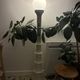 Enrico Tronconi bamboo floor lamp