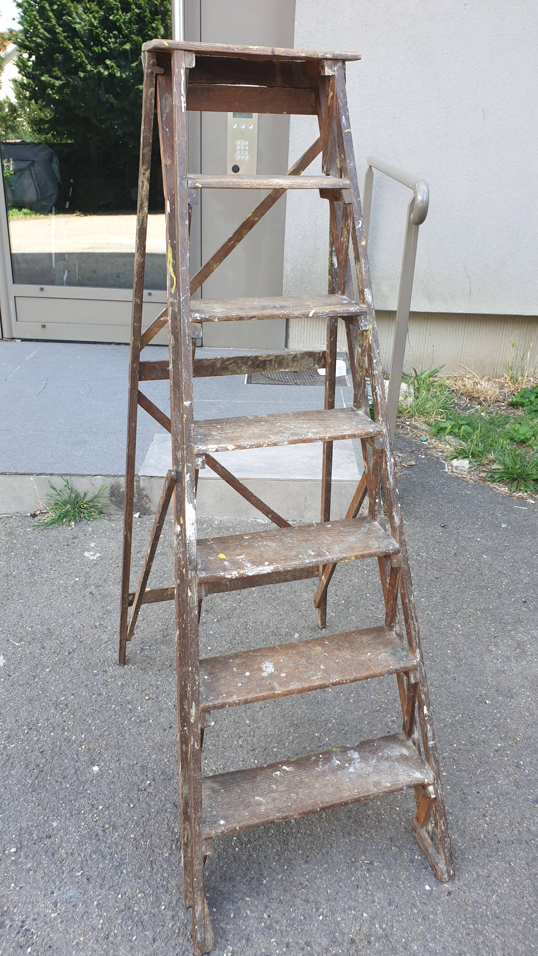 Painter's stepladder in solid beech