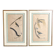 Pair of zoological engravings of birds by Fournier and Perrot, 19th century.