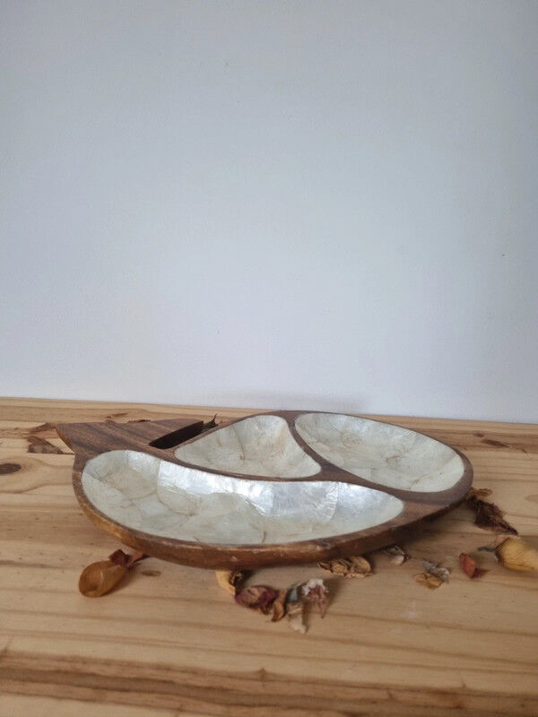Empty wooden and mother-of-pearl whale pocket display
