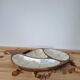Empty wooden and mother-of-pearl whale pocket display