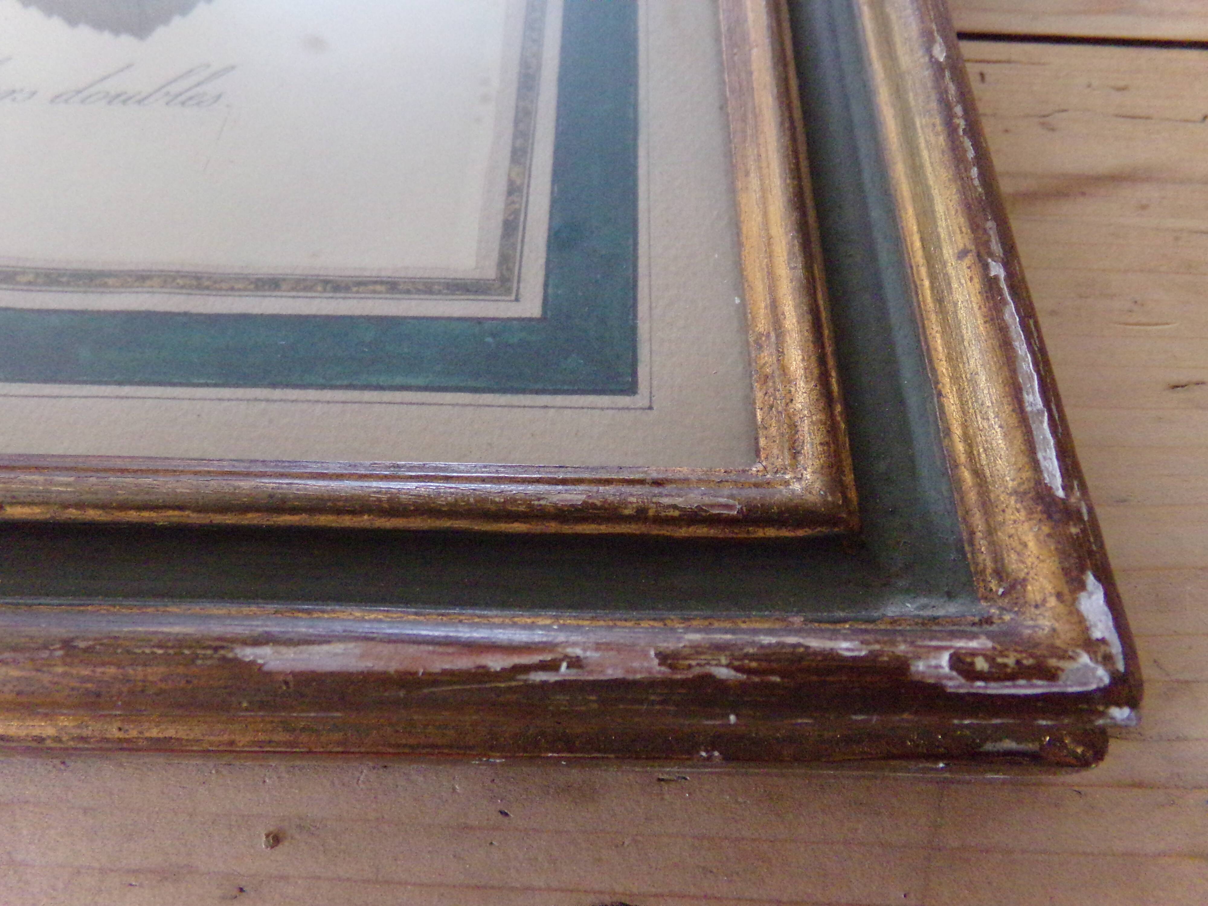 Framed antique lithograph by Pierre-Joseph Redouté