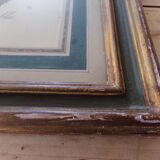 Framed antique lithograph by Pierre-Joseph Redouté
