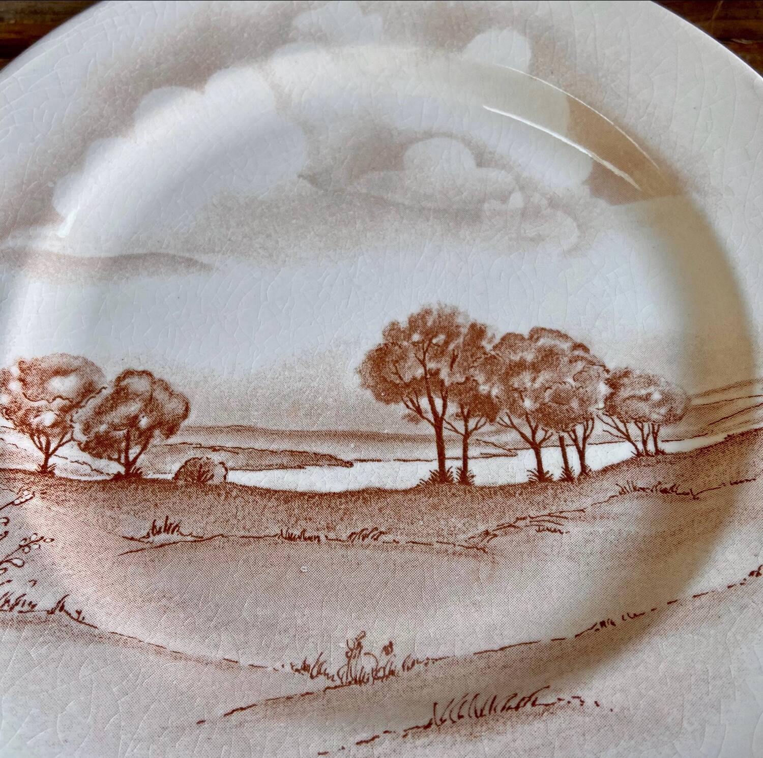 Vintage landscape plate