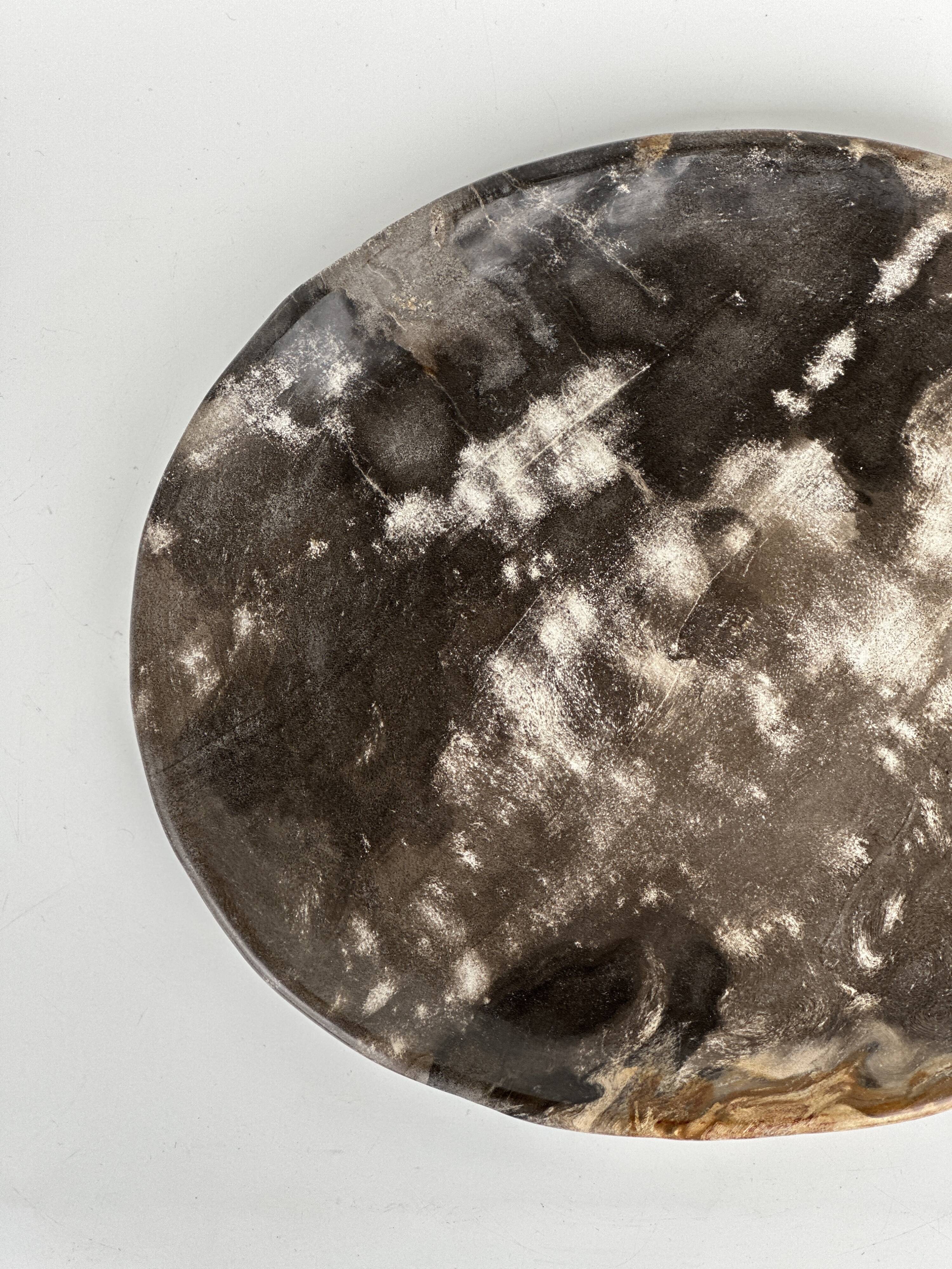 Dish in petrified wood