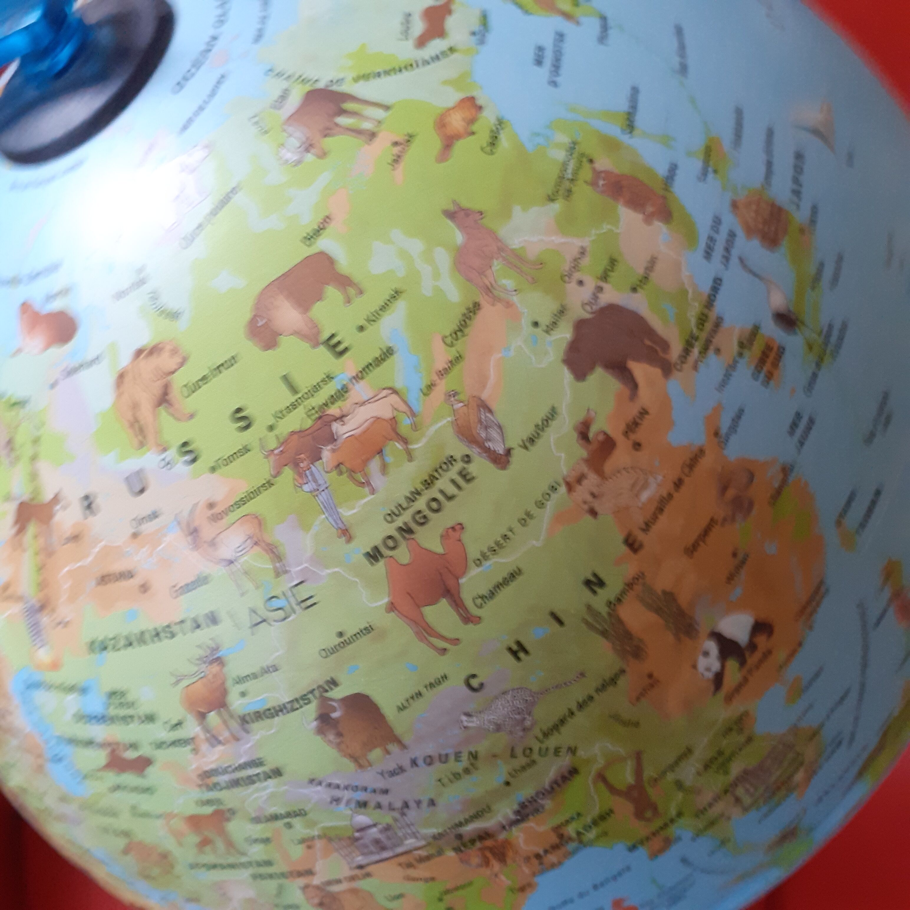 Electric world map: Nova Rico, Italy