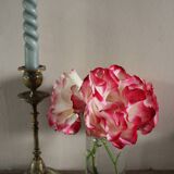 Vase Flacon ancien conservation verre transparent