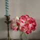 Vase Flacon ancien conservation verre transparent