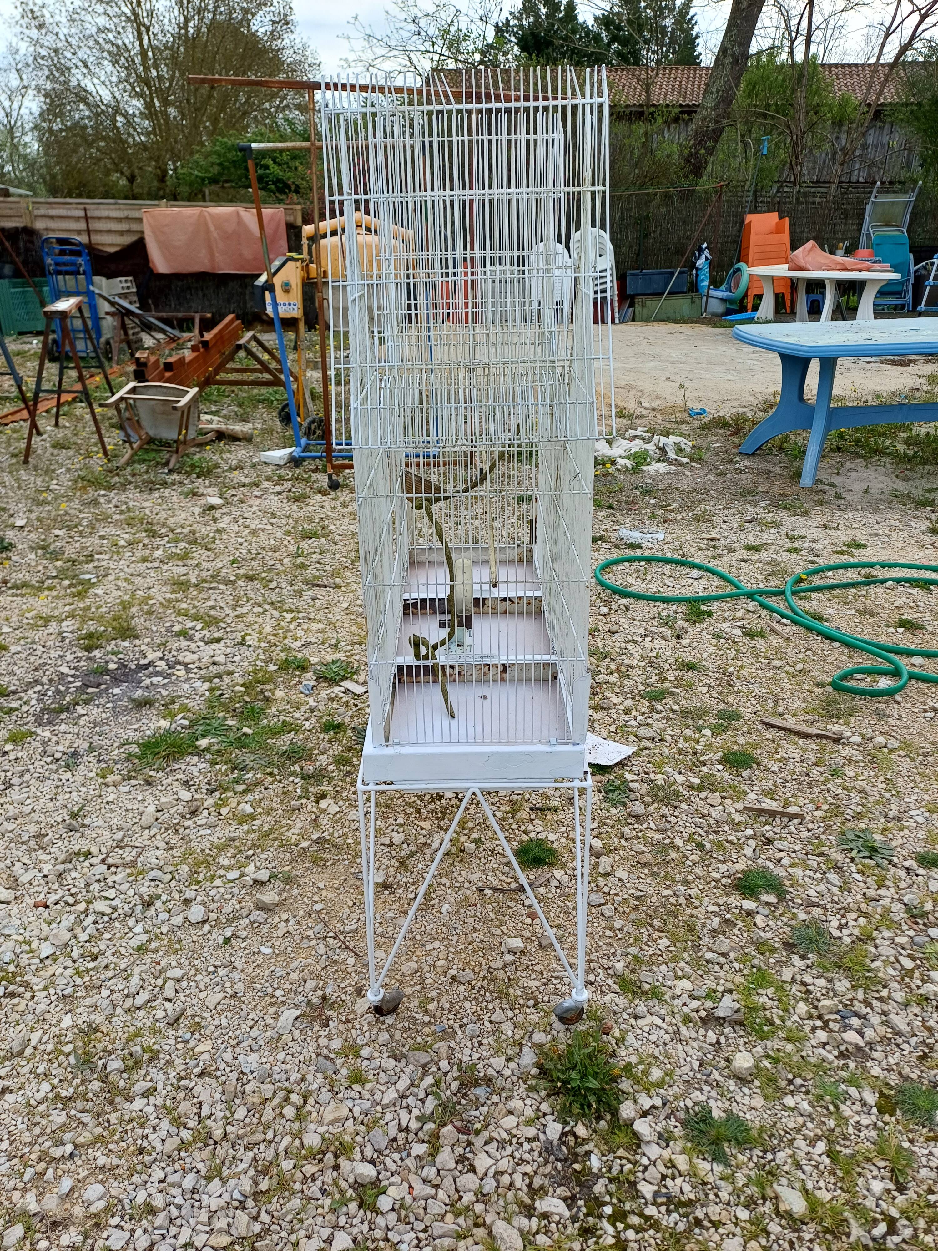 Cage à Oiseaux Fer 1900