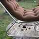 Chair tubular in Brown velvet of the 1970s