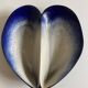 Ceramic shell-shaped bowl by Pol Chambost, signed, 1960.