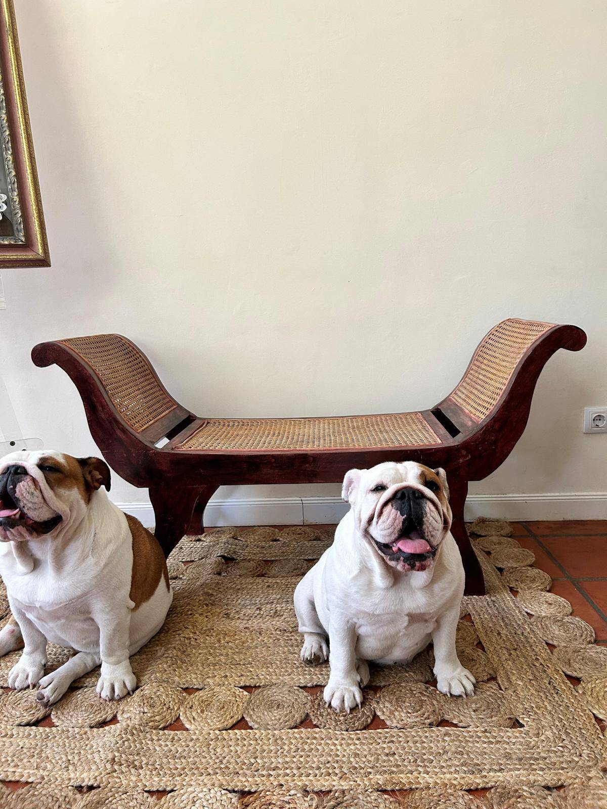 Anglo-Indian wicker bench
